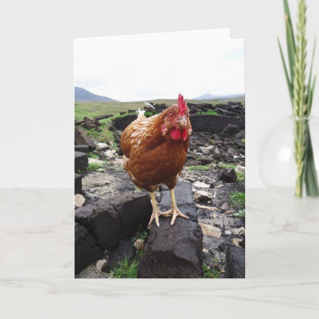 Carte Poulet de gazon, Irlande (Devant)