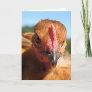 Carte Poulet de Turquie