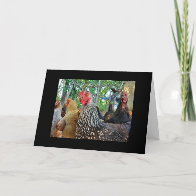 Carte Poulets (Devant)