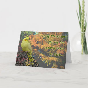 Carte Poulets de printemps