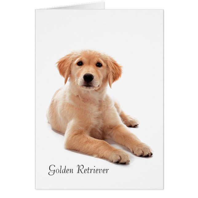 Carte pour animaux (Devant)