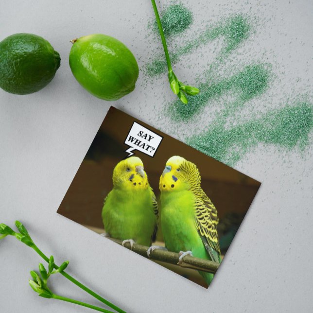 Carte Pour Brother Green Parakeets Photo Anniversaire (In Situ)