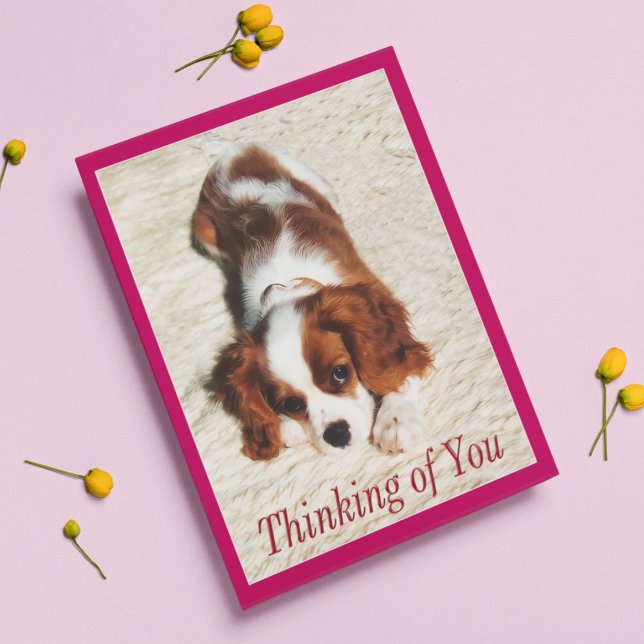 Carte pour chiot Cavalier King Charles 'Pensées po (Créateur téléchargé)