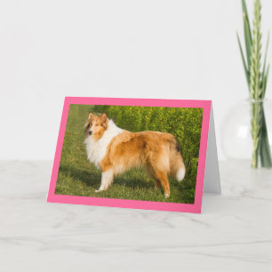 Carte pour chiot Colley « Je pense à toi »