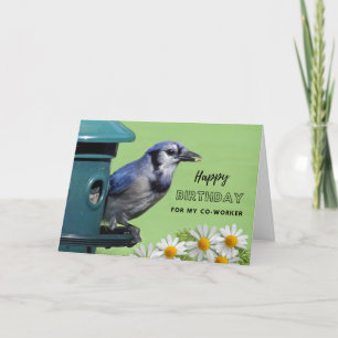 Carte Pour Co Worker Birday avec Blue Jay à Feeder