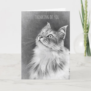 Carte Pour la perte d'un chat d'animal familier (carte)