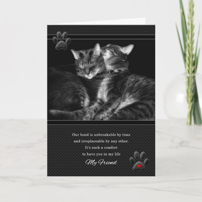Carte pour l'Amoureux des chats d'anniversaire de l'ami  (Devant)