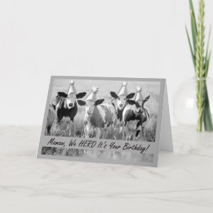 Carte Pour Mamaw Funny Birthday Cows Card
