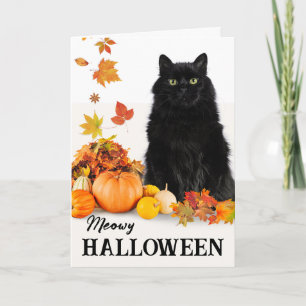 Carte Pour mon chat noir Meowween Humain