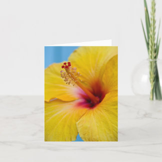 Carte pour notes à fleurs d'Hybiscus jaune