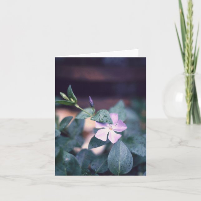Carte pour notes à fleurs violet Vinca (Devant)