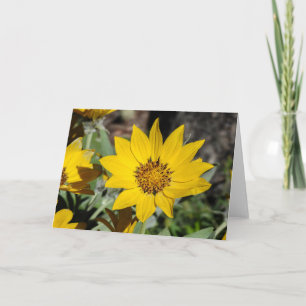 Carte pour notes Arrowleaf