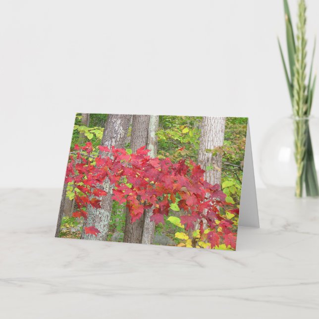 Carte pour notes automne (Devant)