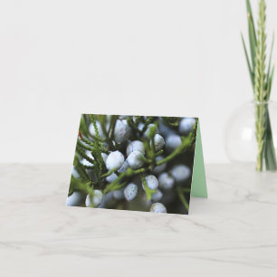 Carte pour notes avec baies Juniper