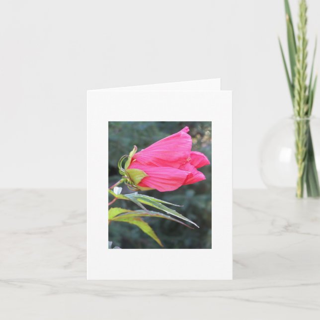 Carte pour notes avec la fleur rouge brillante (Devant)
