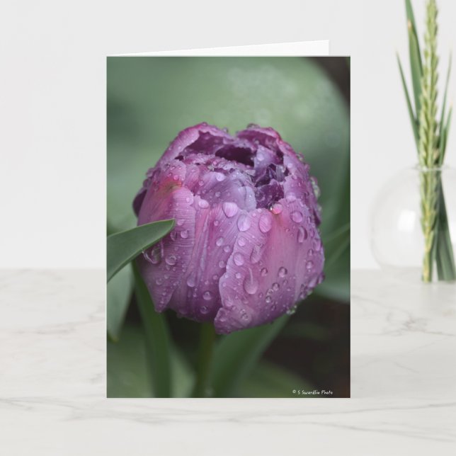Carte pour notes avec la tulipe pourpre (Devant)