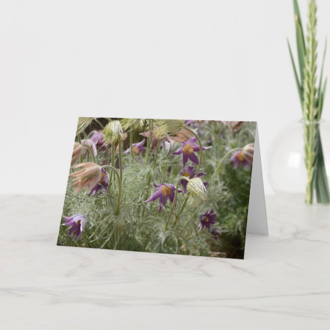 Carte pour notes avec le crocus sauvage (Devant)