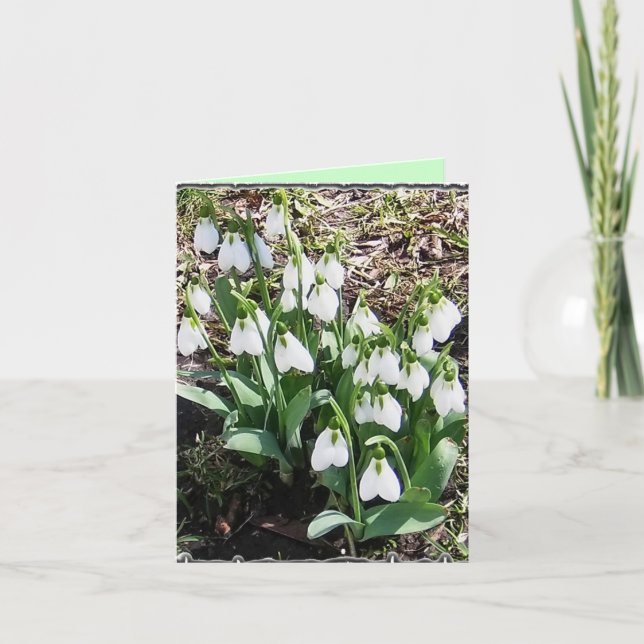 Carte pour notes avec Snowdrops ! (Devant)