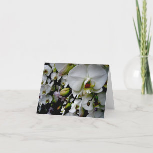 Carte pour notes blanc d'orchidée de Phalaenopsis