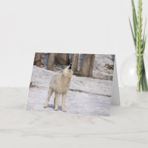 Carte pour notes blanc hurlant loup blanc