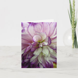 Carte pour notes blanc pourpre Dahlia