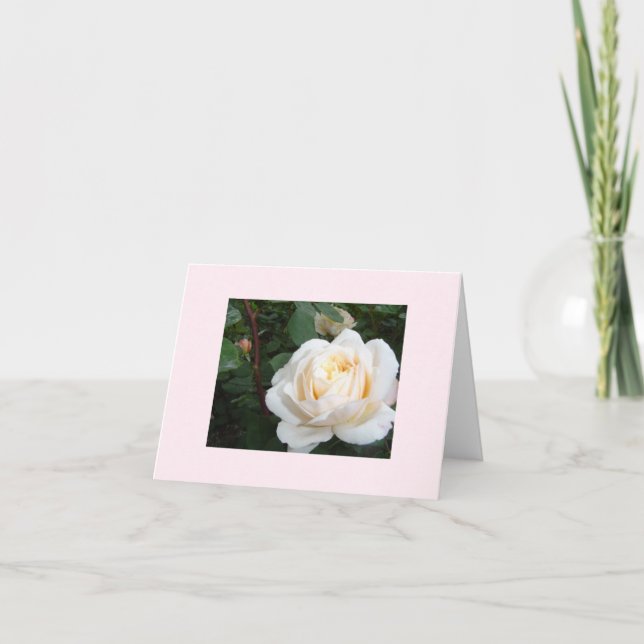 Carte pour notes blanc Rose Pearl (Devant)