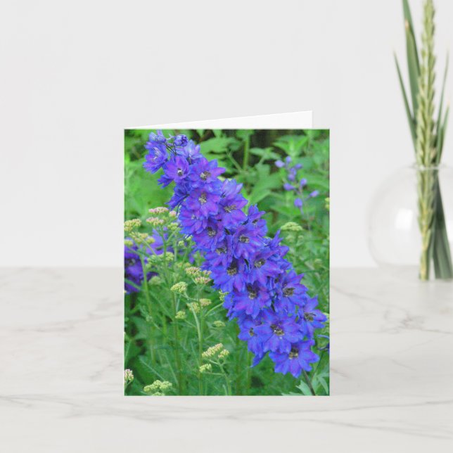 CARTE POUR NOTES BLEU BRILLANT DE DELPHINIUM (Devant)