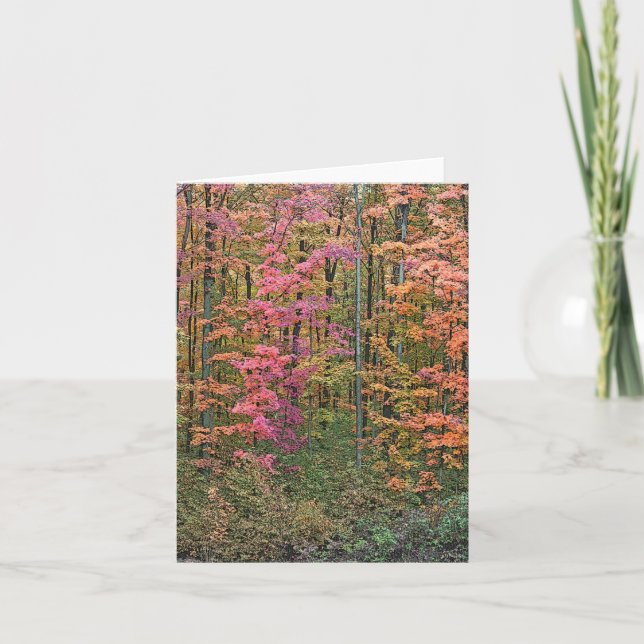 carte pour notes "BOIS EN AUTOMNE" (Devant)