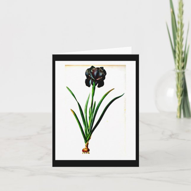 Carte pour notes-Botanicals-Pierre Joseph Redoute (Devant)