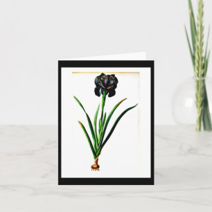 Carte pour notes-Botanicals-Pierre Joseph Redoute