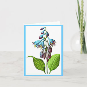 Carte pour notes-Botanicals-Pierre Joseph Redoute