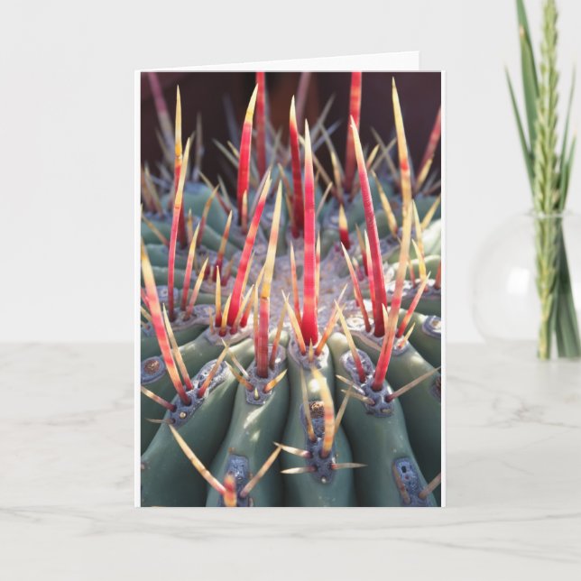 Carte pour notes Cactus (Devant)