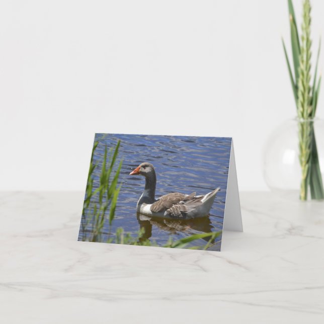 Carte pour notes coloré de canard (Devant)