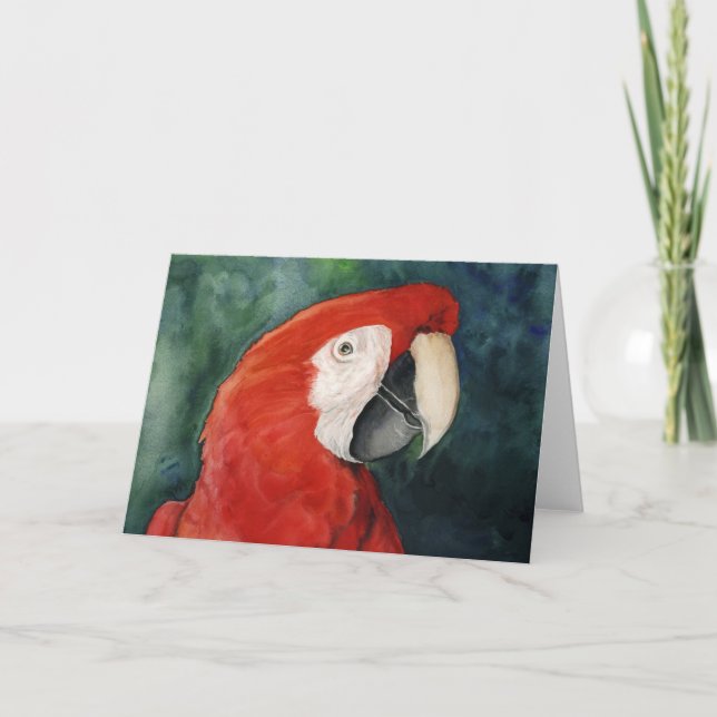 carte pour notes d'art original "Scarlet Macaw" (Devant)
