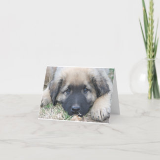 Carte pour notes de blanc de chiot de Leonberger