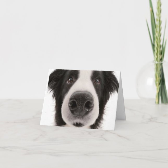 Carte pour notes de border collie (Devant)