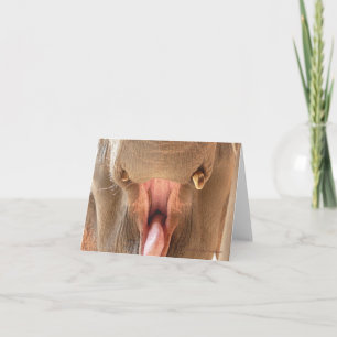 Carte pour notes de bouche d'éléphant