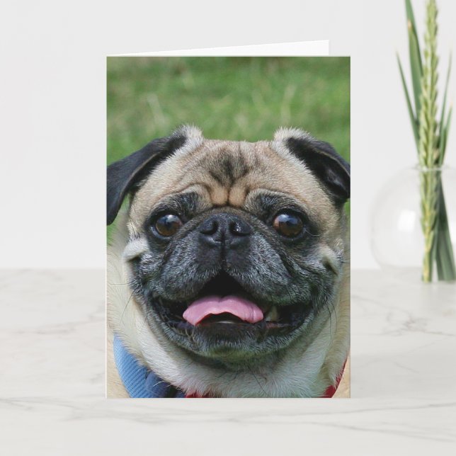 Carte pour notes de Carlin Dog (Devant)