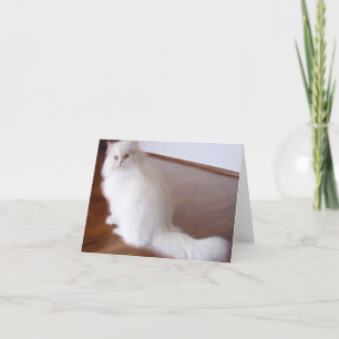 Carte pour notes de chat perse blanc