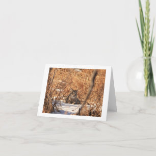 Carte pour notes de chat sauvage