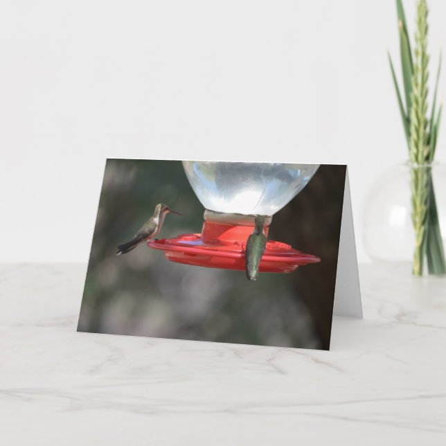 Carte pour notes de colibri (Devant)
