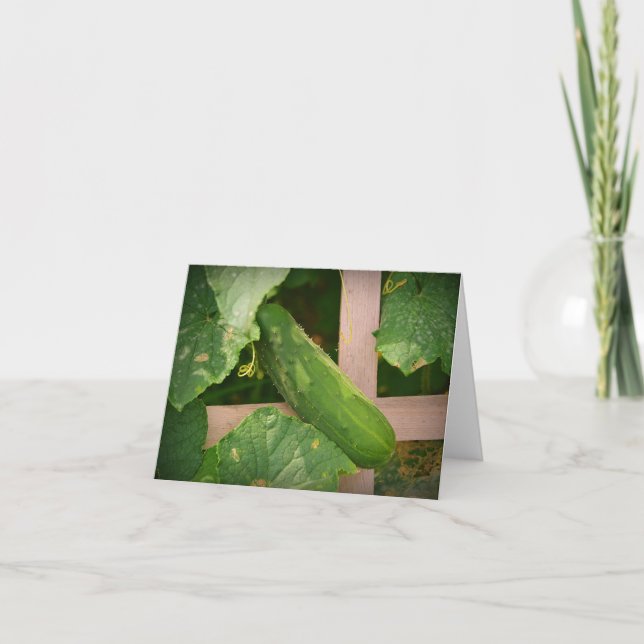 Carte pour notes de concombre (Devant)