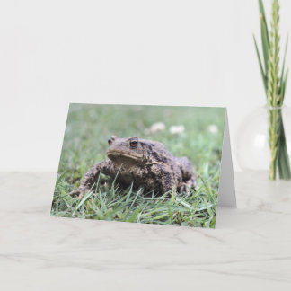 Carte pour notes de crapaud