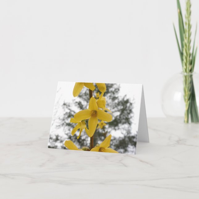 Carte pour notes de fleur de forsythia (Devant)