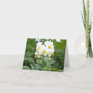 Carte pour notes de fleurs de pomme de terre