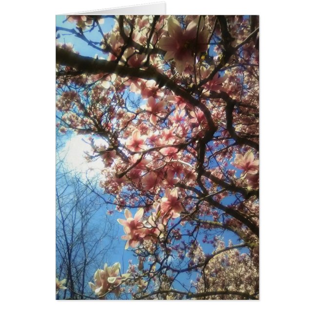 Carte pour notes de fleurs printanières (Devant)