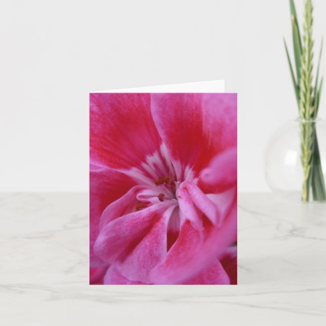 Carte pour notes de géranium rose (Devant)