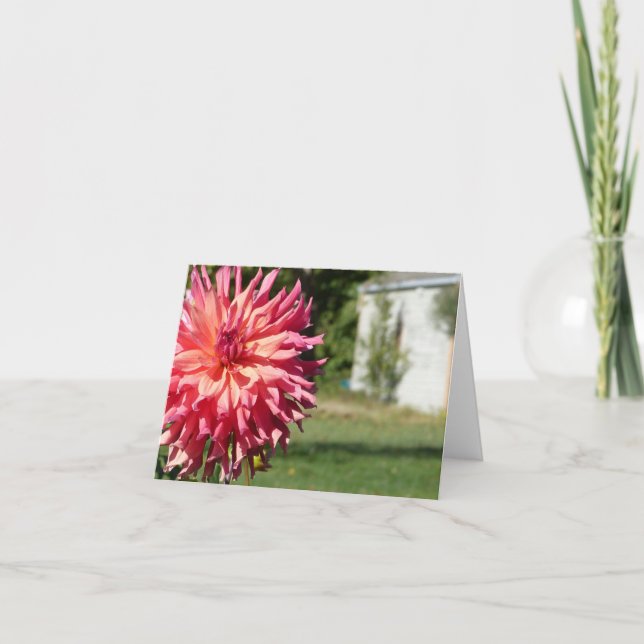 CARTE POUR NOTES DE "GRAND DAHLIA ROSE" (Devant)
