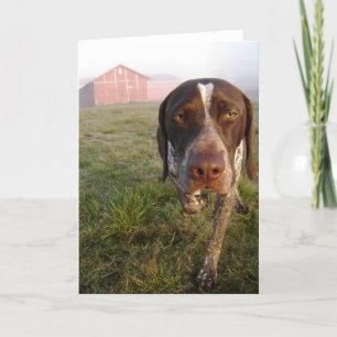 Carte pour notes de grange de Walter