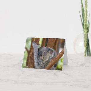 Carte pour notes de Koala Bear